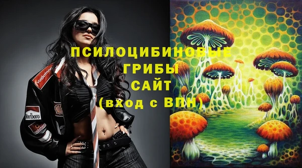 дживик Баксан