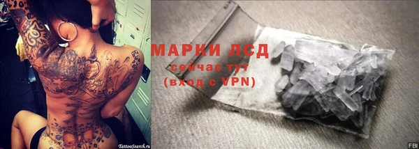 дживик Баксан